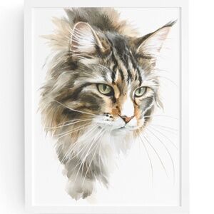 Watercolor Maine Coon Cat Illustration Wall Art Print Unframed
